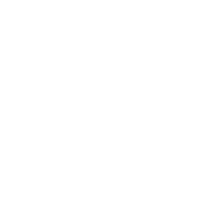 Heavy-Duty Load Capacity